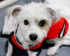 39070 - Murphy