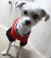 39070 - Murphy