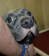 39094 - Buckey