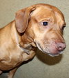 39465 - Jeffery