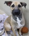 39534 - Marley
