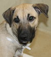 39534 - Marley