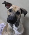 39534 - Marley
