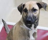 39534 - Marley