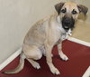 39534 - Marley