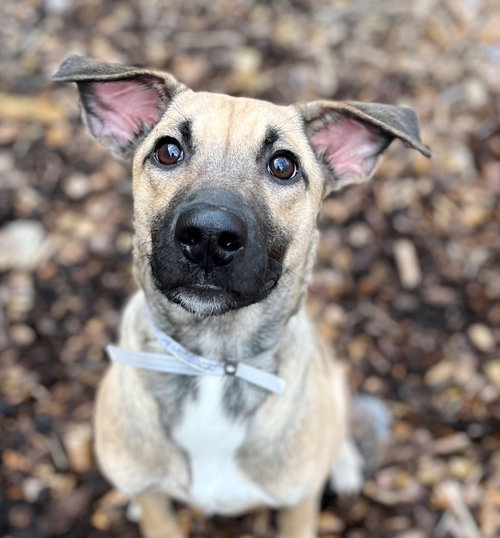 39534 - Marley