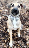 39534 - Marley