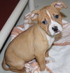 39526 - Lola