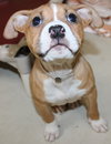 39526 - Lola
