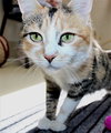 39620 - Fiona