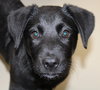 39681 - Bonnie