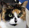 39762 - Cherie