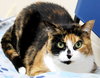 39762 - Cherie
