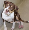40130 - Carley