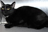 40303 - Lucky