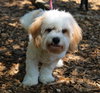 40384 - Teddy