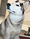 40482 - Luna