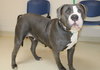 40652 - Missy