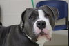 40652 - Missy