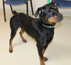 40656 - Maggie