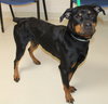 40656 - Maggie