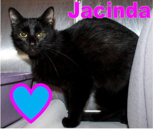 40837 - Jacinda