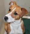 41055 Lillian