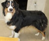 41139 Fiona