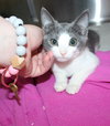 41108 - Annabelle