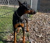 41439 - Breezy
