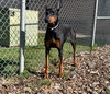 41439 - Breezy