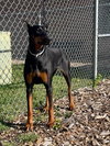 41439 - Breezy