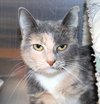 41681 - Tootie