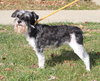 42007 - Lina