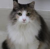 42260 - Savannah