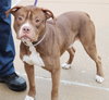 42244 - Handsome Hootie