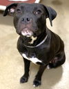 46907 Jasmine