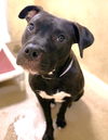 46907 Jasmine