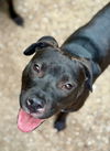 46907 Jasmine