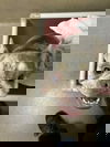 48339 - Coconut