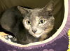 47591 - Missy