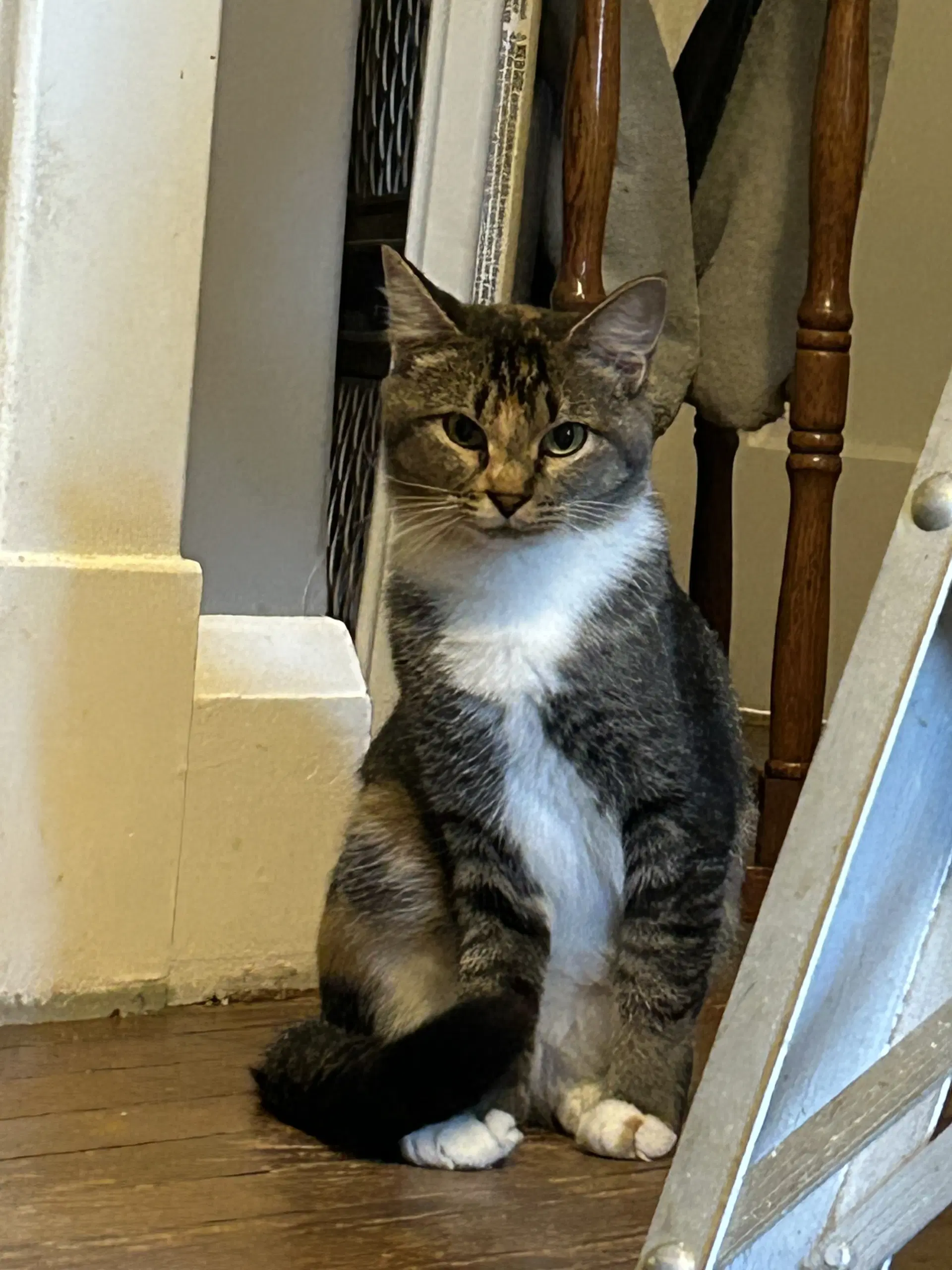 Buttercup Aka Blinkie image 2