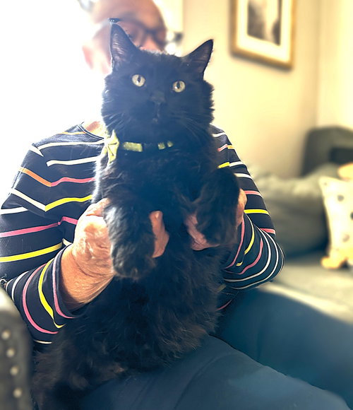 Pedro Pawscal