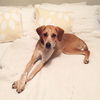 Trudy
