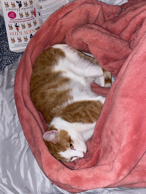 Tigger