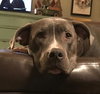 Fiona - Photo 2