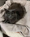 Frankie