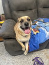 Lyle - Photo 1