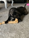 Billie Jo - Photo 1