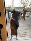 Billie Jo - Photo 2